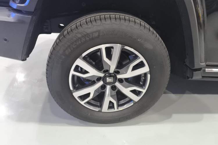 Used Tank 300 2024 2.0T Crosser
