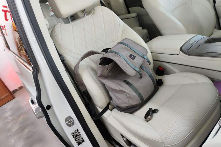 Used Wey Gaoshan 2025 Four-Wheel Drive Alpine 8
