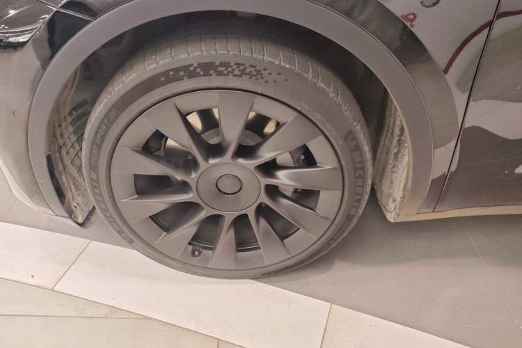 Used Tesla Model Y 2021 Standard Range Rear-Wheel Drive Version
