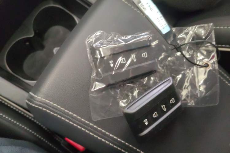 Used Tank 300 2024 2.0T Conqueror