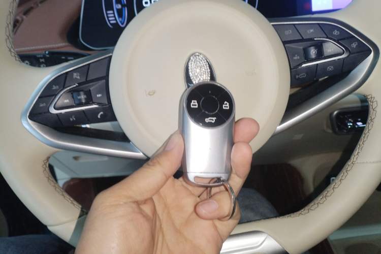 Used ORA Good Cat 2022 Morandi Edition 400km Standard Range Luxury Version Lithium Iron Phosphate Vehicle Key