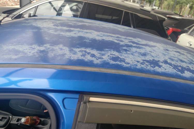 Used Ford Focus 2013 Hatchback Classic 1.8L Automatic Base Model Roof