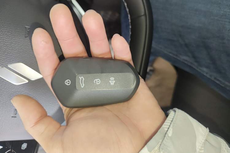 Used Livan Livan 7 2023 605 km ZHU FENG