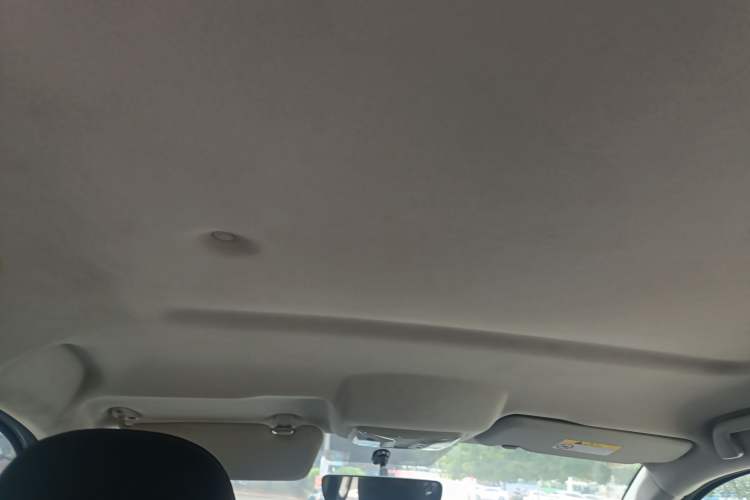 Used Great Wall Poer 2019 2.0T Commercial Version Manual Diesel Two-Wheel Drive Elite Long-Box GW4D20M Headliner