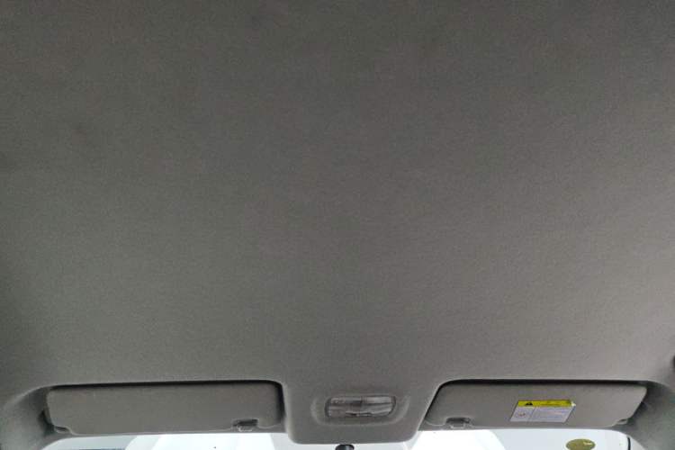 Used FORTHING S60 EV 2023 PRO Comfort Edition
