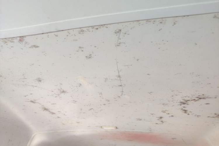 Used Iveco Daily 2020 2.5T A35 Passenger Van Single-Tire Mid-Roof Design 5-9 Seater with Sliding Side Door Meeting China VI Emission Standards
