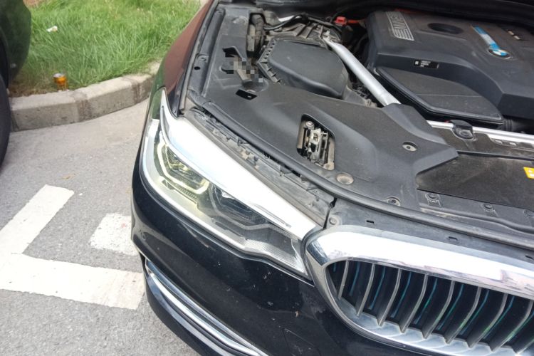 Used BMW 5 Series New Energy 2019 Updated Version 530Le Luxury Package
