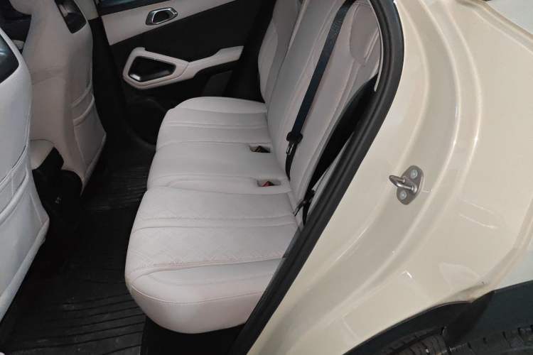 Used BYD Yuan UP 2024 401KM Leading Edition
