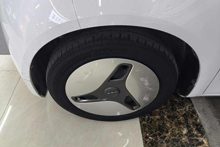 Used ORA White Cat 2020 360 km Luxury Version
