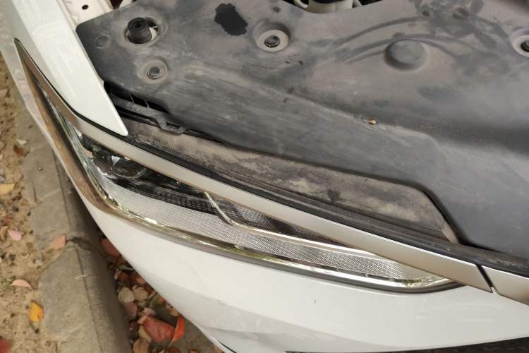 Used BYD Qin PLUS 2021 DM-i 55KM Flagship Model
