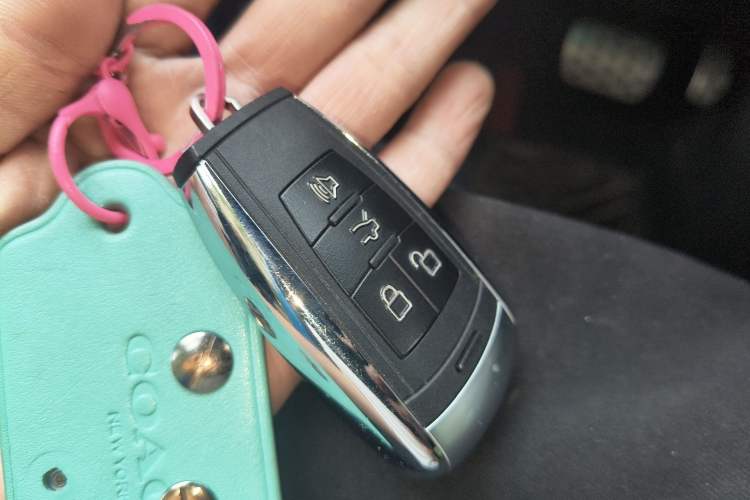 Used BAIC Off-Road BJ40 2019 2.3T Automatic Four-Wheel Drive Ring the Tower Champion Edition China VI Vehicle Key