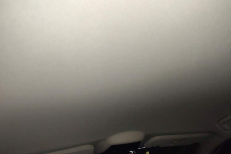 Used NETA U 2021 Pro 400 Cruiser Edition