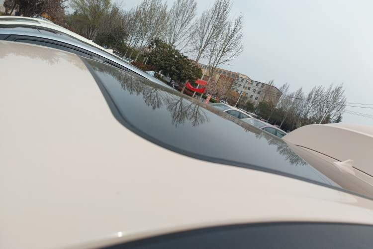 Used ORA Good Cat 2024 501 km Luxury Version Roof