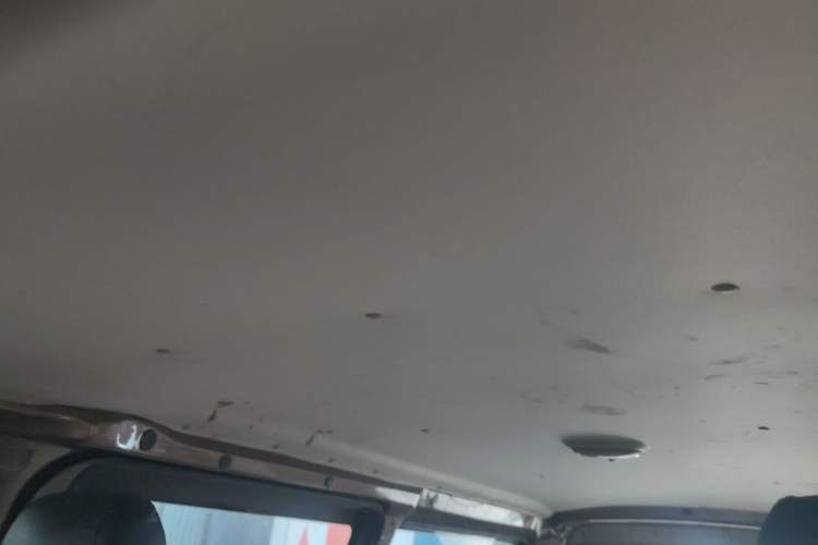 Used Foton MP-X E 2017 2.0L New Express Long Wheelbase 4Q20M Headliner