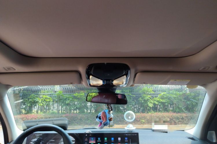 Used BMW 3 Series 2023 325Li M Sport Night Edition Package Headliner