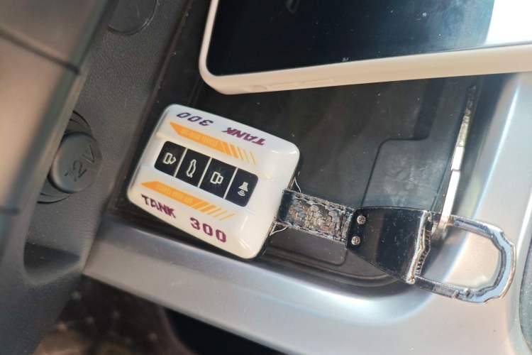 Used Tank 300 2023 Off-Road Edition 2.0T Conqueror
