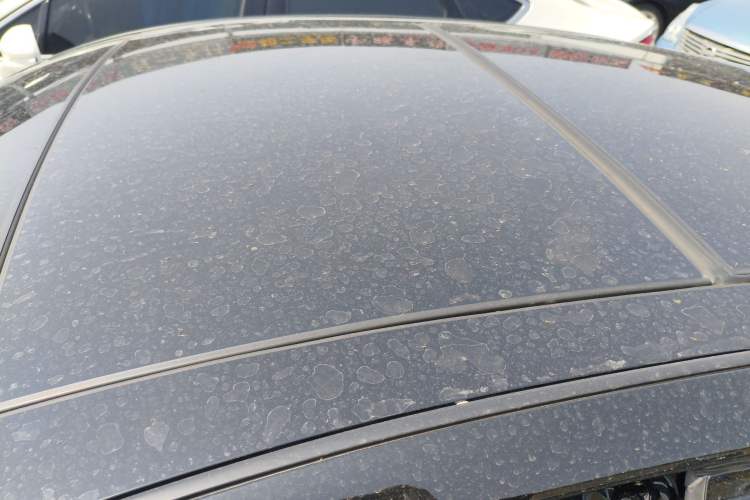 Used Nissan Teana 2022 2.0L XL-TLS Enjoyment Edition
