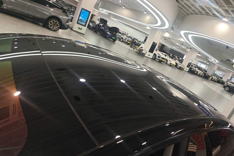 Used Tesla Model 3 2022 Rear-Wheel-Drive Version Roof