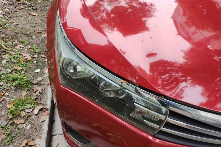 Used Toyota Corolla 2014 1.6L CVT GL-i Leather Edition