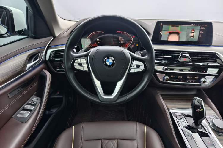 Used BMW 5 Series 2020 530Li Leading Edition Luxury Package