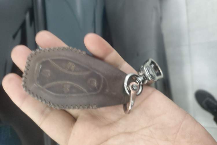 Used ARCFOX Alpha S 2023 525E Forest Edition 160kW