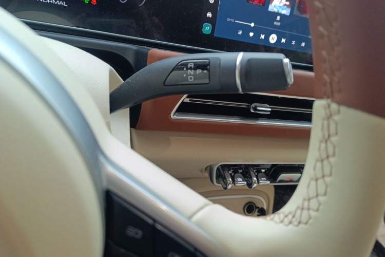 Used ORA Good Cat 2024 401 km Luxury Version Gear Lever