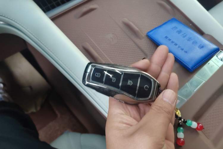 Used BYD Xia 2025 DM-i 1.5T 100km Supreme Edition
