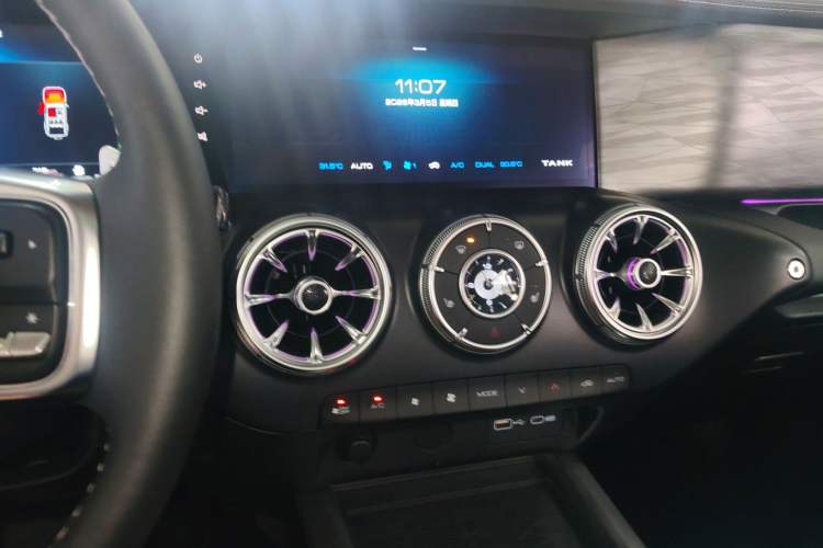 Used Tank 300 2024 2.0T Conqueror
