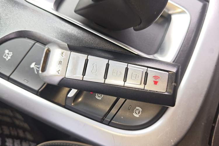 Used Tank 300 2021 Off-Road Edition 2.0T Conqueror
