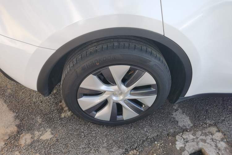 Used Tesla Model Y 2021 Standard Range Rear-Wheel Drive Version