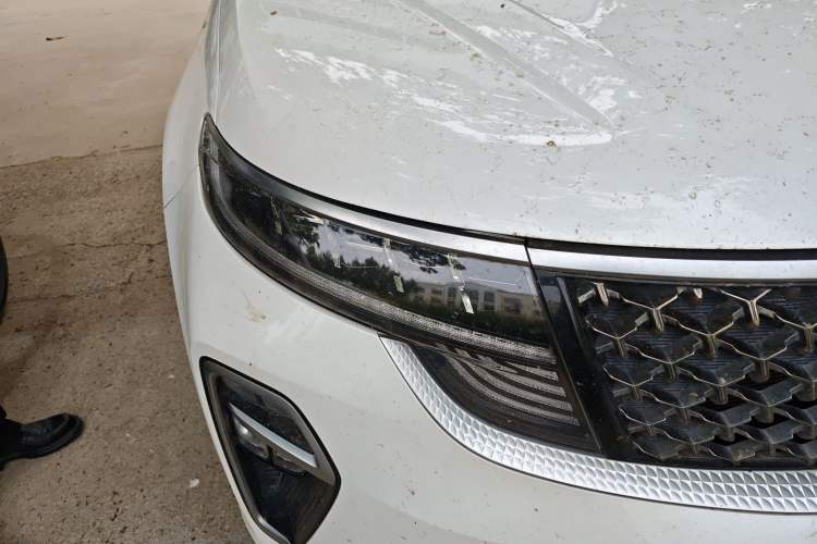 Used Kia KX5 2019 1.6T Automatic Two-Wheel Drive Luxury Edition Right Front Headlight