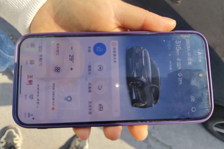 Used BYD Tang New Energy 2024 DM-i Glory Edition 112KM Prestige Model