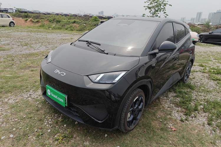 Used BYD Seagull 2025 Smart Drive Version 305 km Freedom Edition