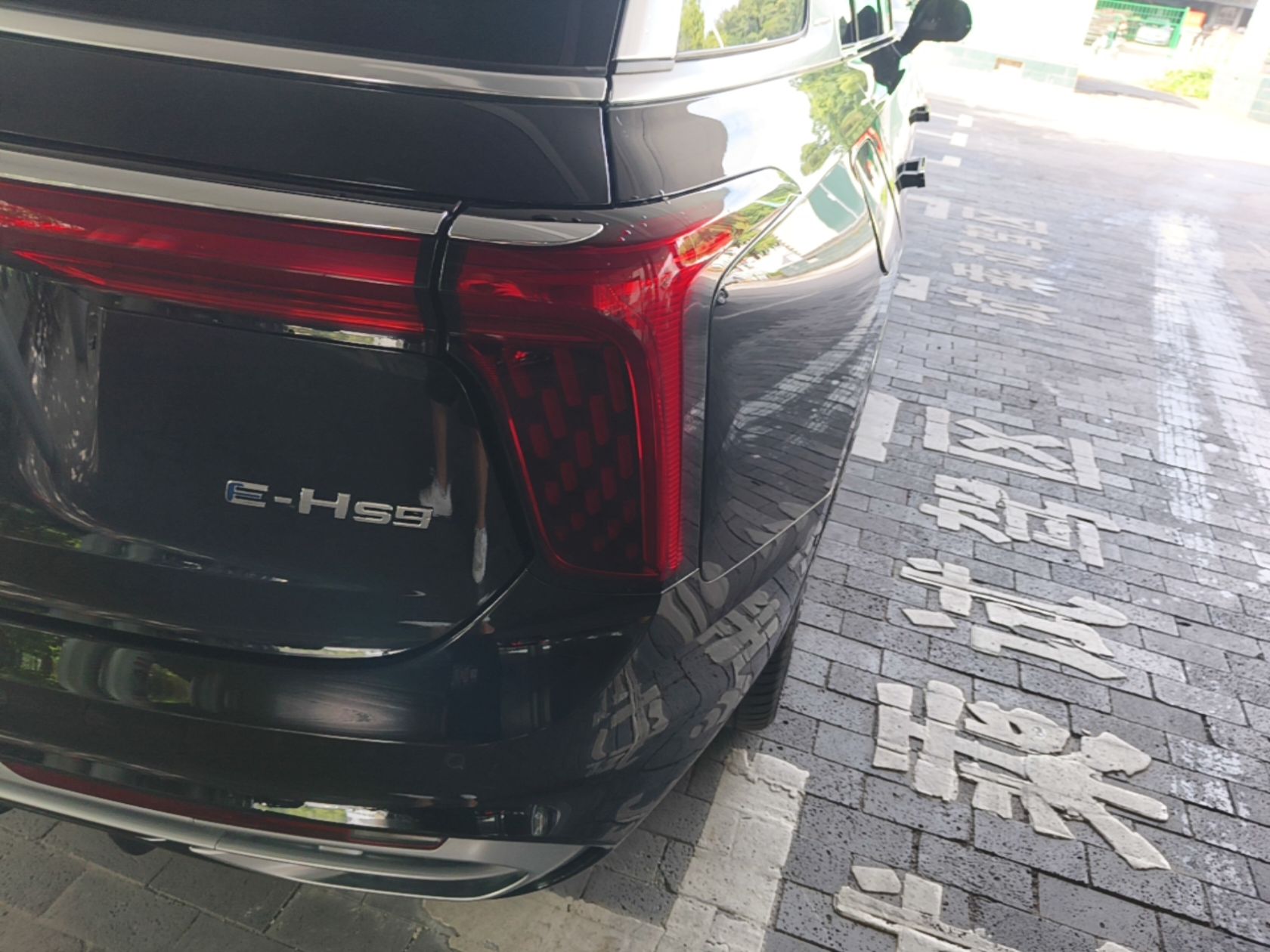 Hongqi E-HS9 2022 690 km Range Flagship Edition Six Seats — снимка 9