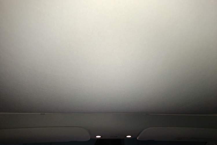 Used Tesla Model Y 2021 Standard Range Rear-Wheel Drive Version Headliner