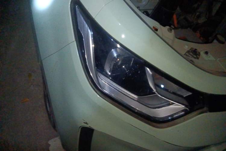 Used SOL E10X 2022 Flower Fairy Design Four-Leaf Clover Right Front Headlight