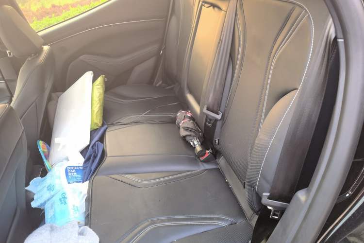 Used Ford Mustang Mach-E 2021 AION Y Plus Rear-Drive Luxury Edition (Long Range)
