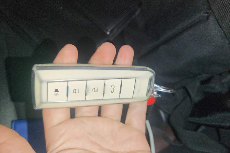 Used Wey VV5 2021 1.5T Two-Wheel Drive Color Pioneer
