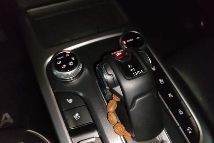 Used Tank 300 2024 2.0T Crosser
