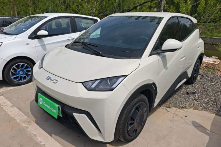 Used BYD Seagull 2024 Honor Edition 305km Dynamic Version