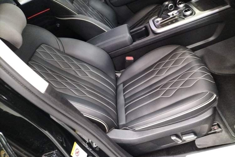 Used Tank 300 2024 2.0T Challenger
