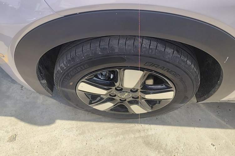 Used BYD Dolphin 2025 Intelligent Driving Version 410 km Fashion Edition