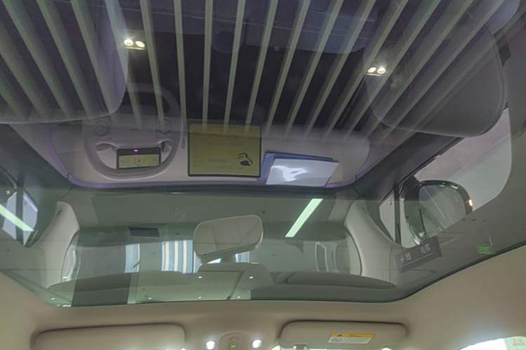 Used firefly 2025 Illuminated Edition
