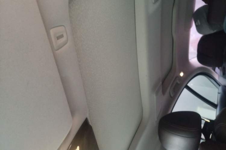 Used BMW 5 Series New Energy 2019 530Le Luxury Package