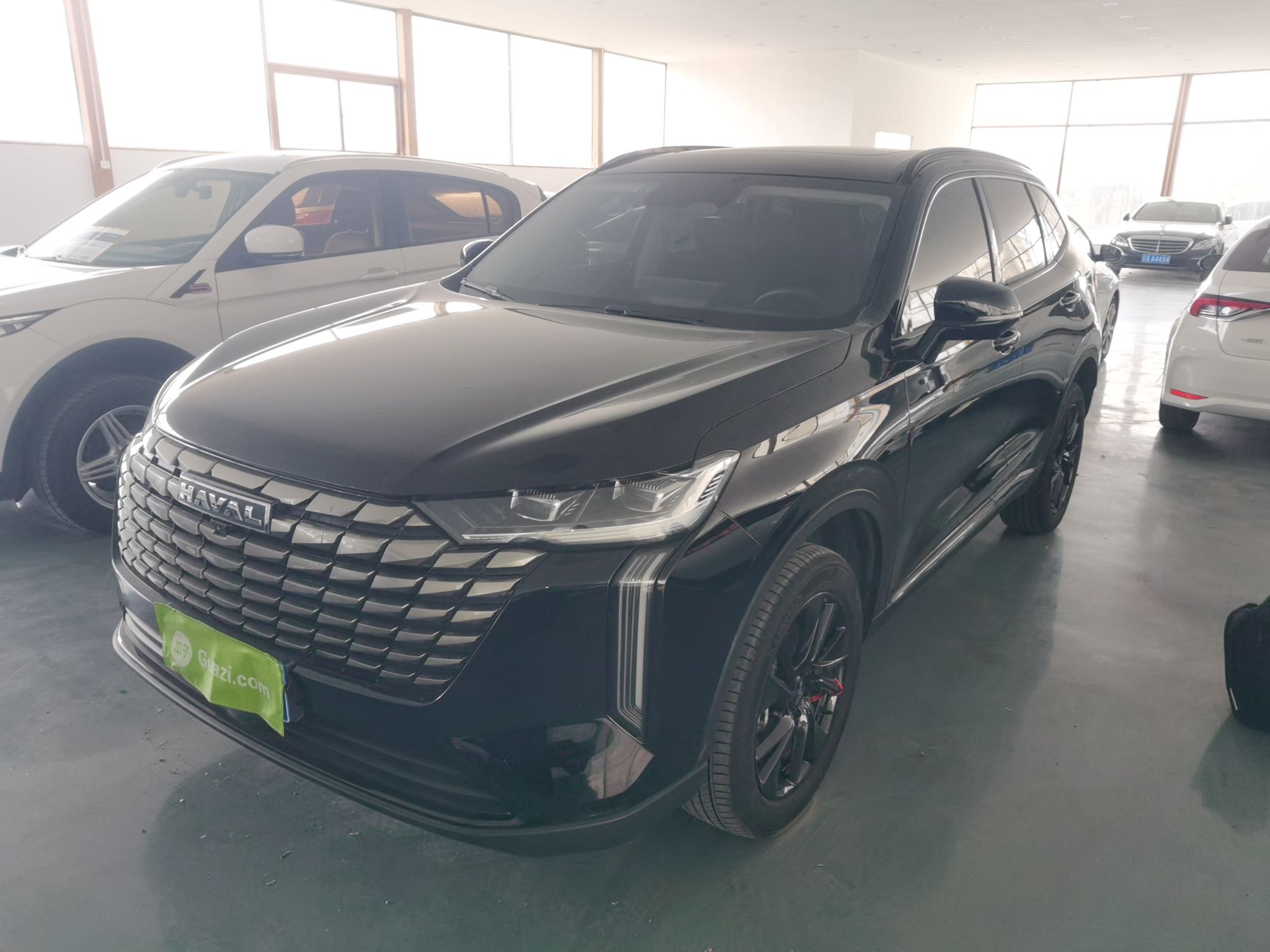 Parte inferior delantera