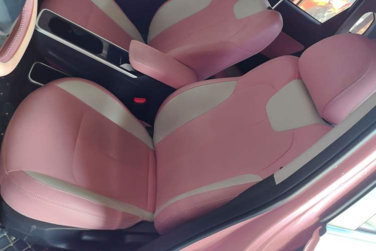 Used NETA V 2021 Witch Edition
