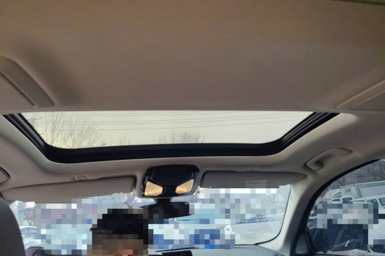 Used BMW 5 Series New Energy 2019 530Le Luxury Package
