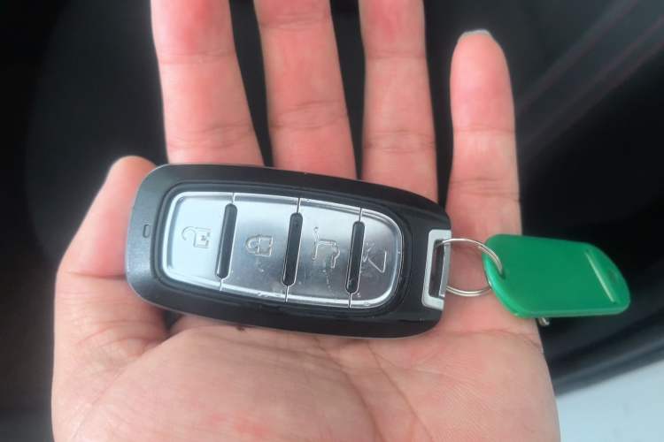 Used Leopaard CS9 2017 1.5L CVT Comfort Model
