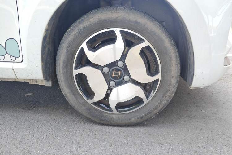 Used SOL E10X 2022 Flower Fairy Style Baby's Breath