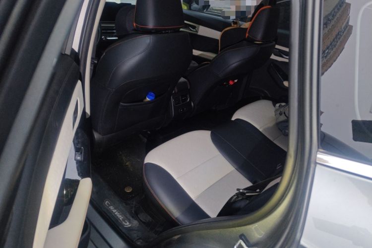 Used Haval LHERY 2021 High-Performance Version 1.5T Golden Rabbit Left Rear Seat